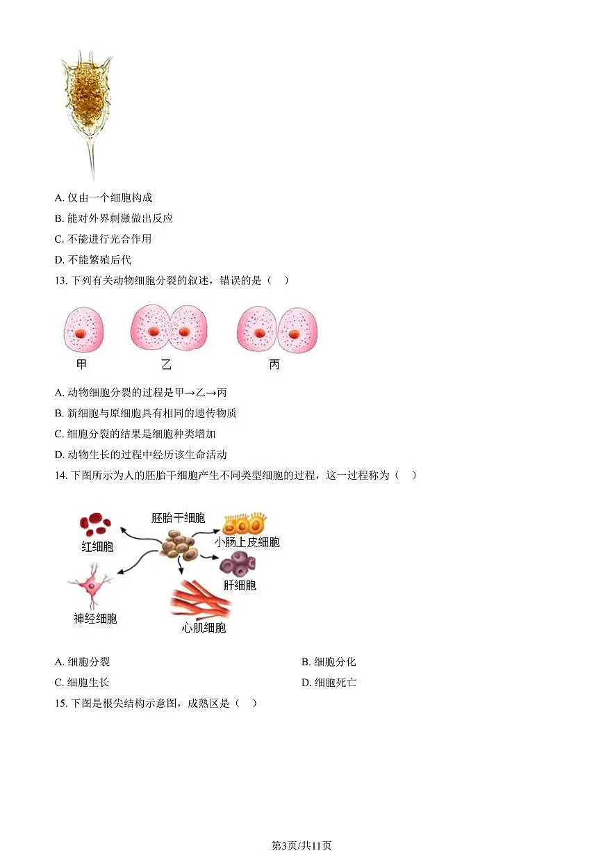 北京市朝阳区2025-2026学年第一学期七年级生物期末试卷（含答案）第3页
