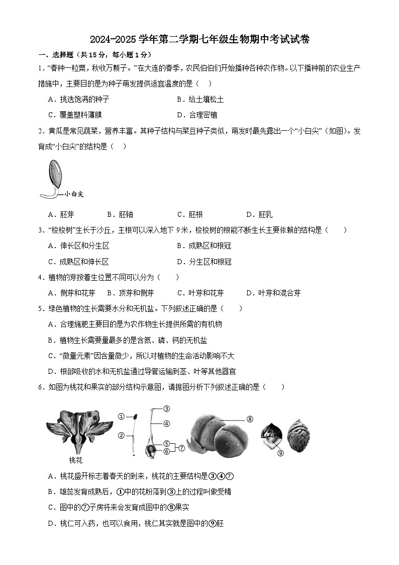 甘肃省武威三中教研联片2024-2025学年七年级下学期4月期中生物试题-A4第1页