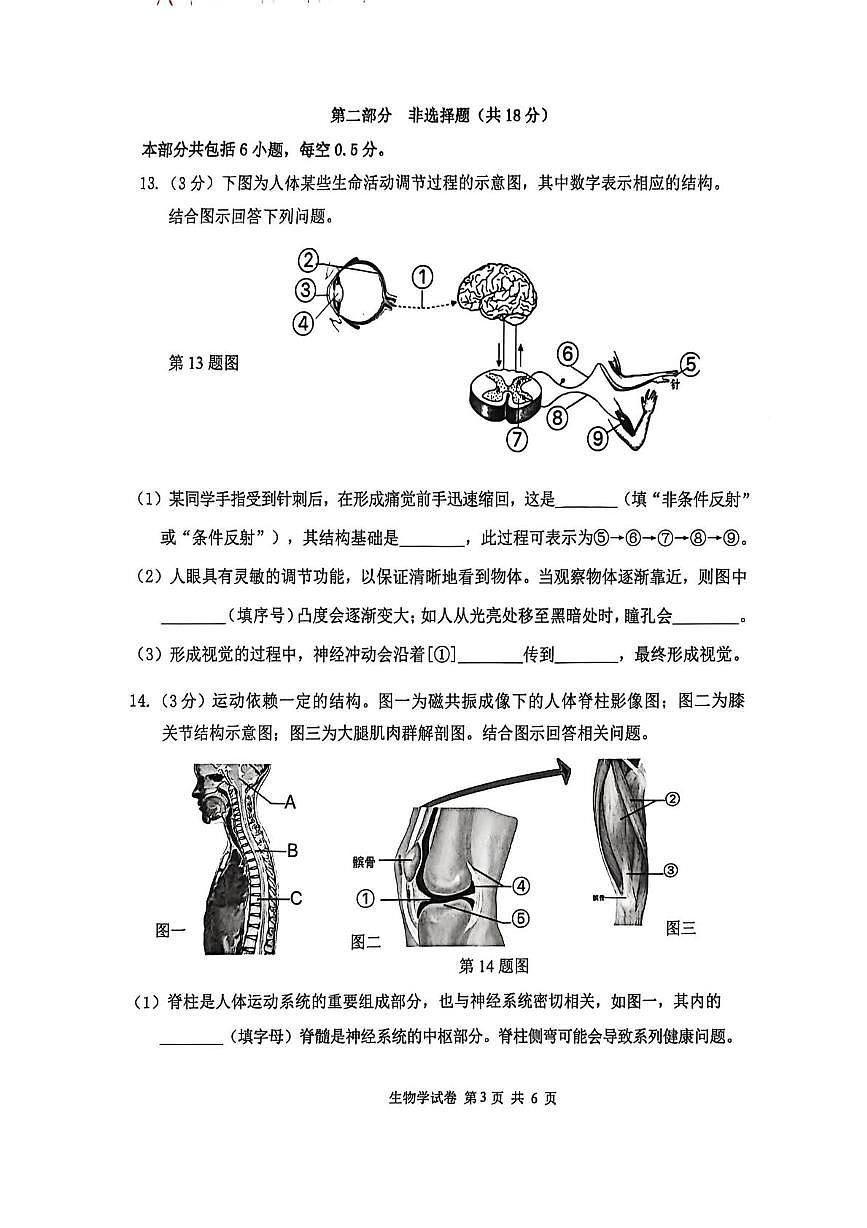 辽宁省大连市西岗区2025-2026学年八年级上学期期末生物试卷第3页
