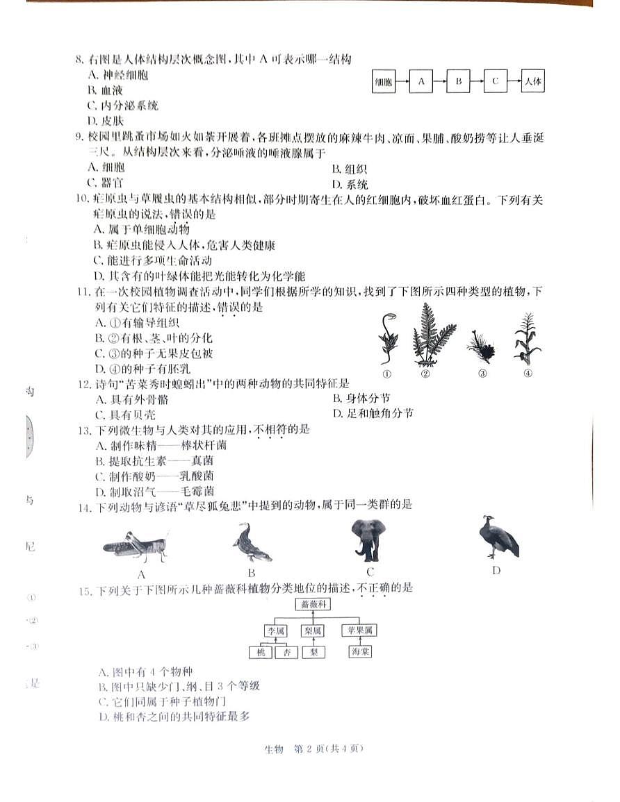 山西省朔州市部分学校2025-2026学年七年级上学期1月期末生物试题第2页