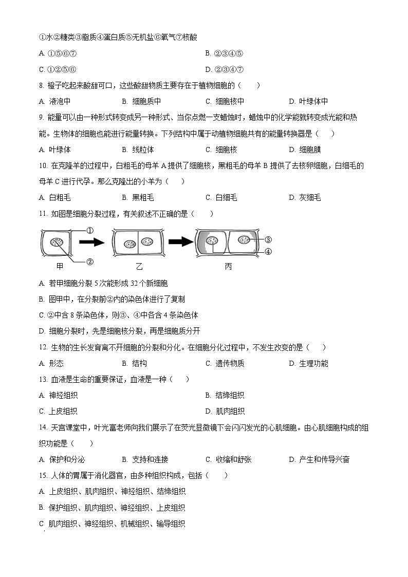 甘肃省陇南市武都区七年级上学期期中生物学试题（原卷版）-A4第2页