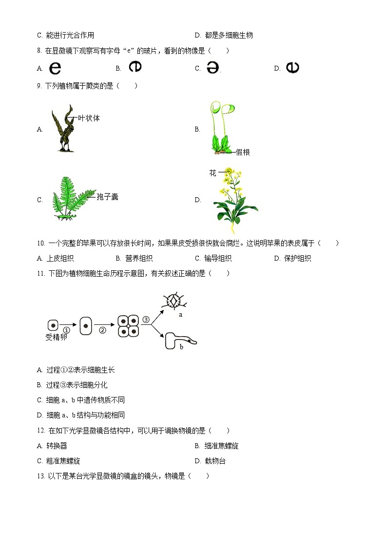 福建省莆田市莆田第十五中学七年级上学期期中生物学试题（原卷版）-A4第2页