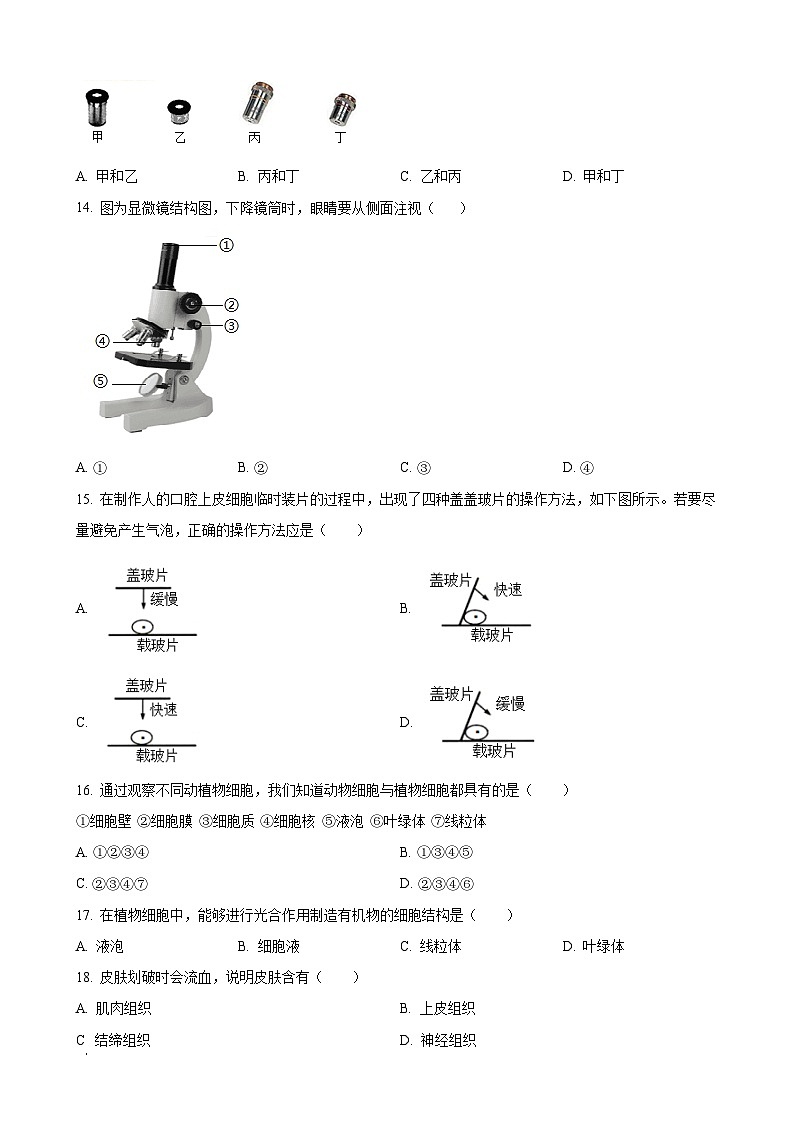 福建省莆田市莆田第十五中学七年级上学期期中生物学试题（原卷版）-A4第3页