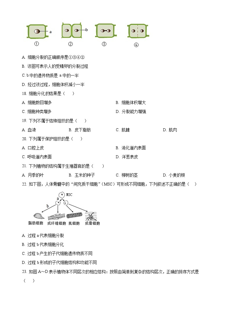 福建省泉州市南安市七年级上学期期中生物试题（原卷版）(1)-A4第3页