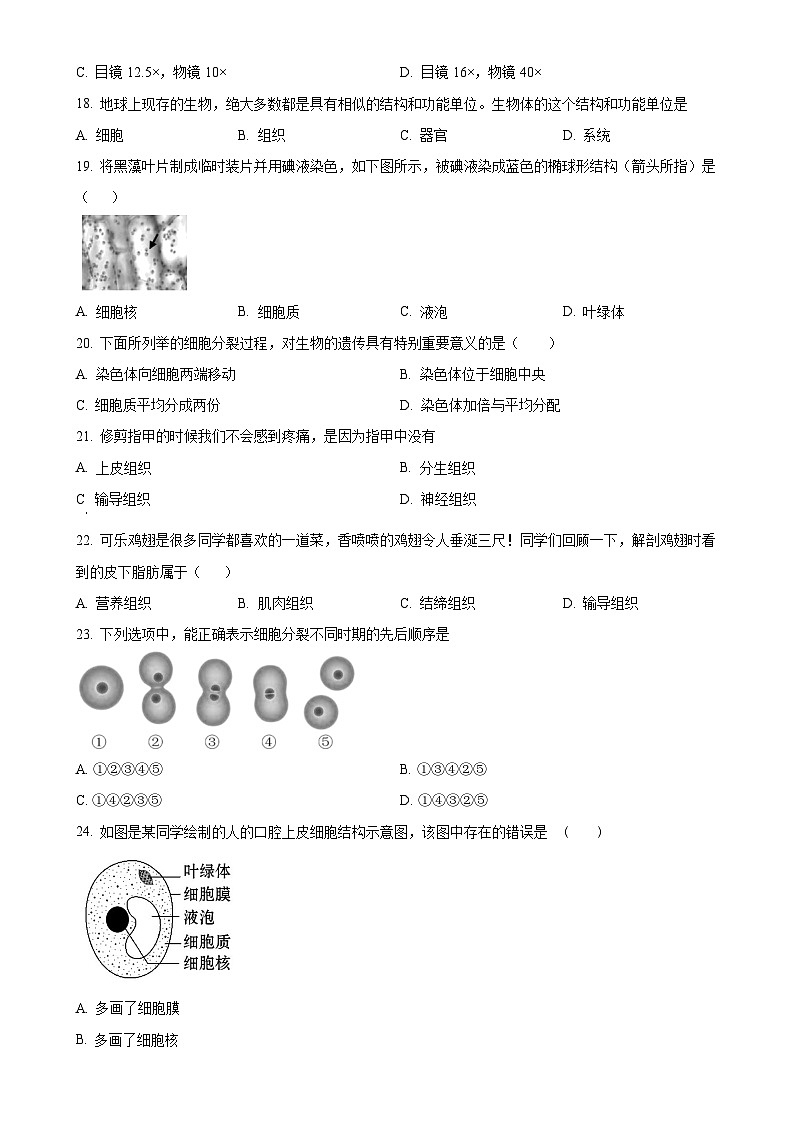 福建省龙岩市漳平市七年级上学期期中生物试题（原卷版）-A4第3页