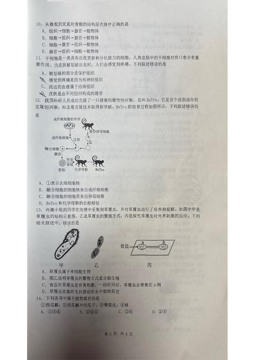 2025-2026学年北京市海淀区七年级上学期期末生物（无答案）试卷第2页