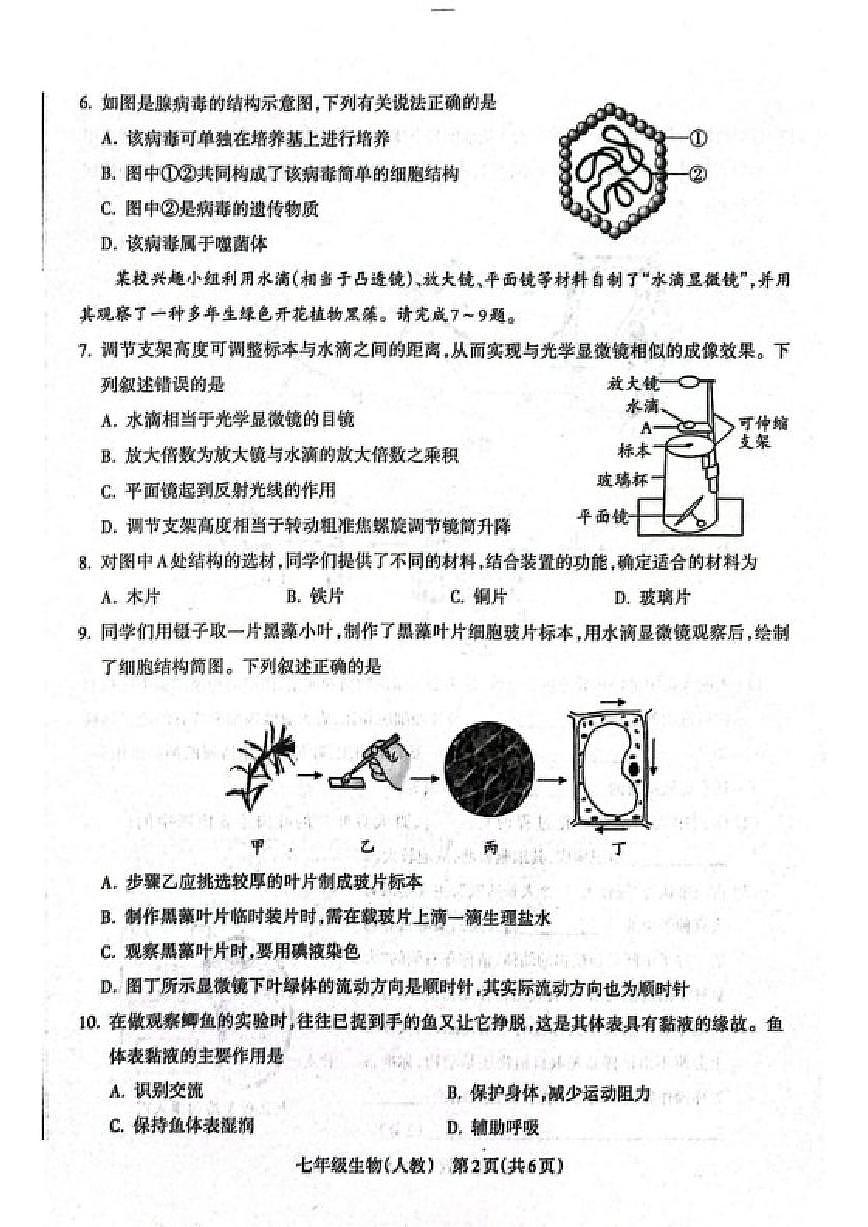 2025-2026学年山西省晋中市左权县三校七年级上学期期末生物试题（含答案）第2页