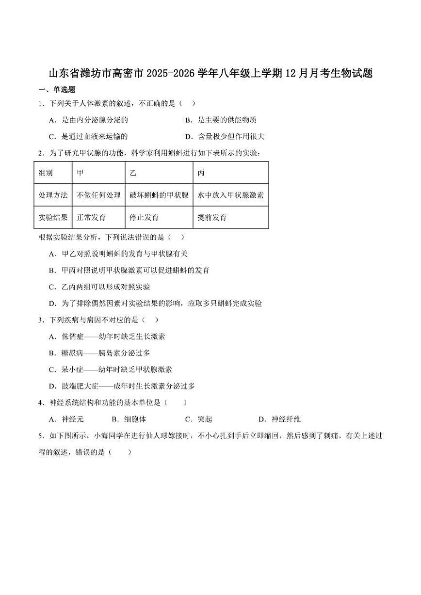 2025-2026学年山东省潍坊市高密市八年级上学期12月月考生物试卷（含答案）第1页