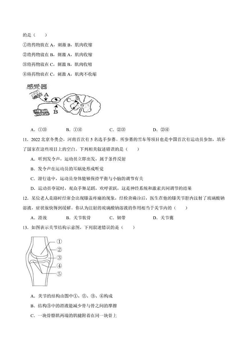 2025-2026学年山东省潍坊市高密市八年级上学期12月月考生物试卷（含答案）第3页