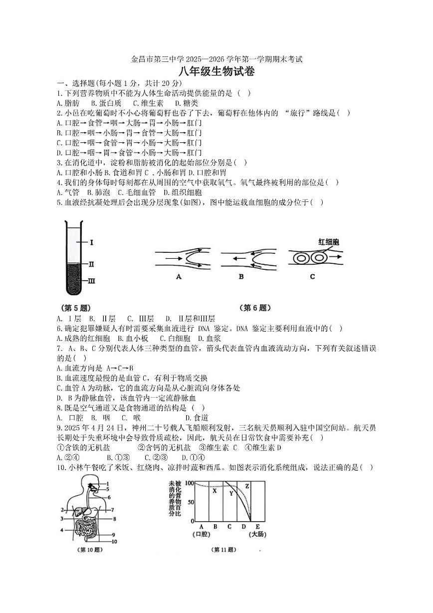2025-2026学年甘肃省金昌市第三中学八年级上学期期末生物（含答案)试卷第1页