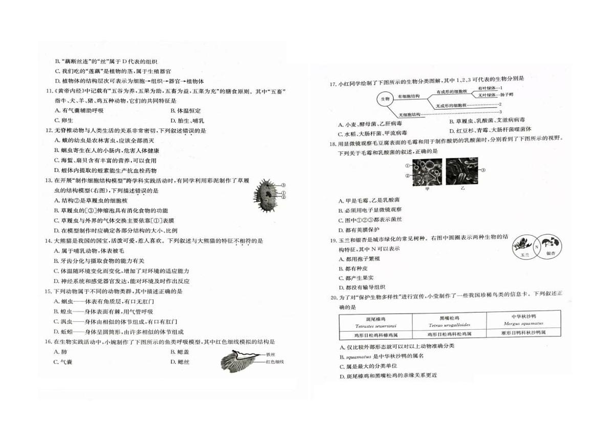 河南省周口市商水县五校联考2025-2026学年七年级上学期1月期末生物试题第2页