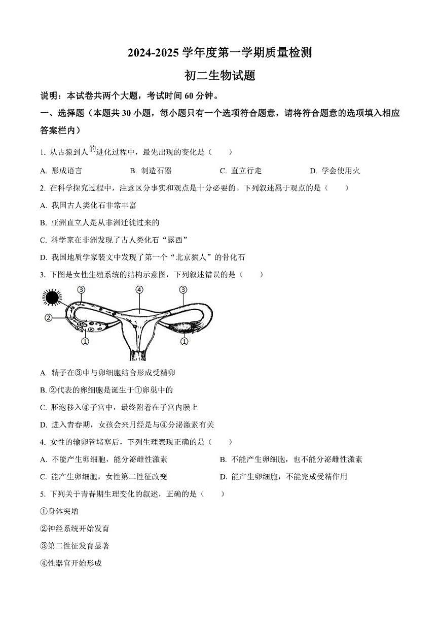 2024-2025学年广东省肇庆市第一中学八年级上学期期末生物学试题（有答案）第1页