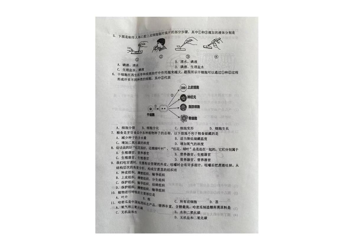 2025-2026学年辽宁省铁岭市西丰县七年级上学期期末生物试卷（有答案）第2页
