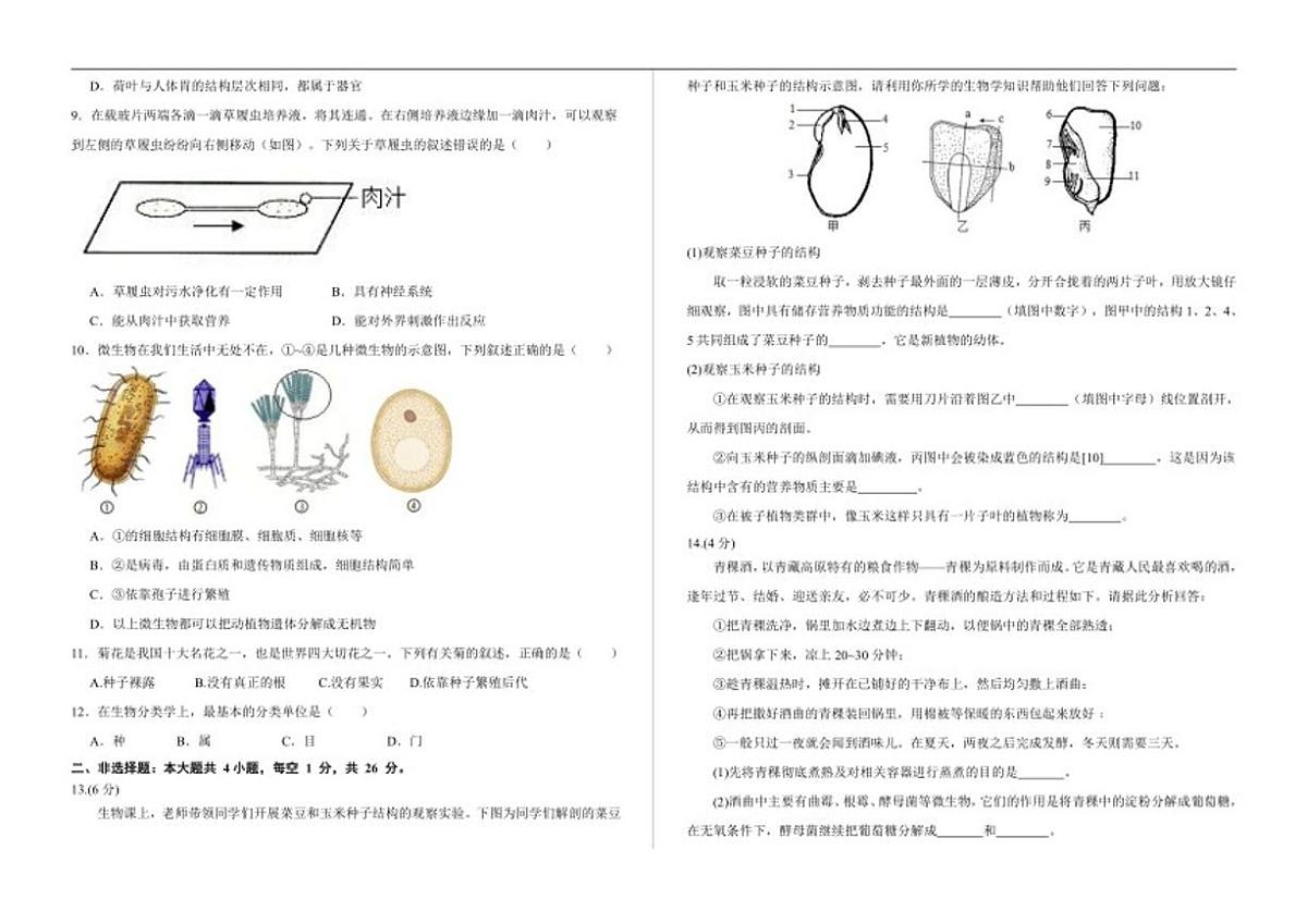 2025-2026学年西藏自治区昌都市七年级上学期期末质量监测生物试卷（有答案）第2页