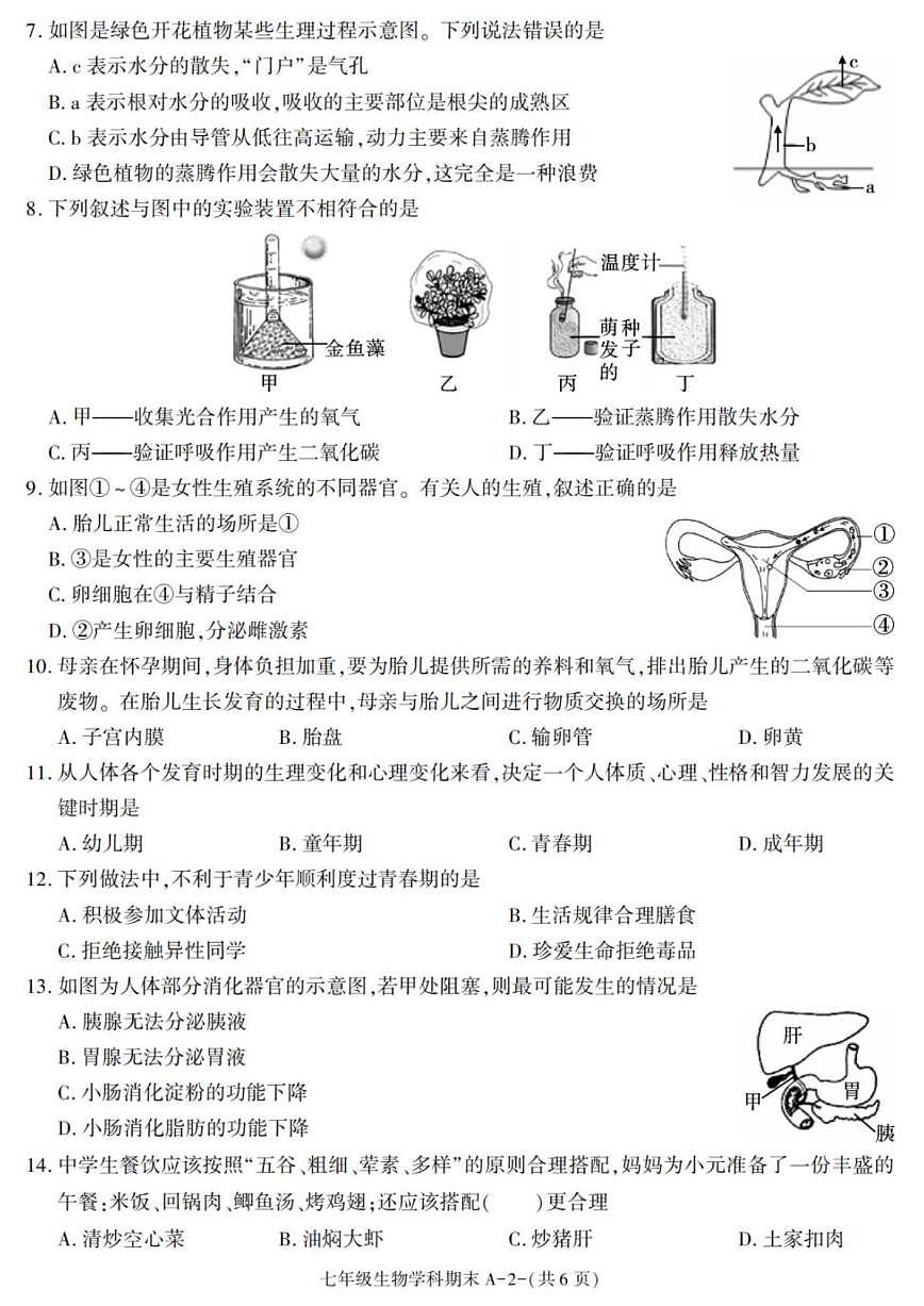 2024-2025学年陕西省咸阳市泾阳县七年级下学期期末考试生物试卷（有答案）第2页