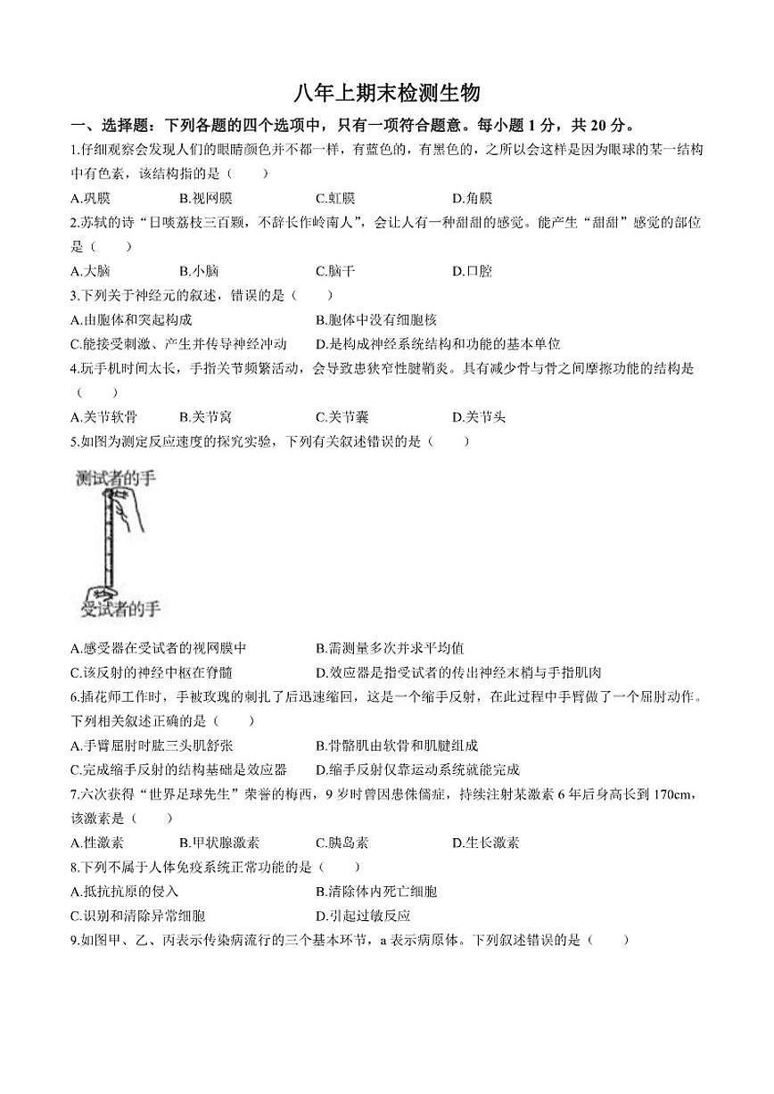 2025-2026学年吉林省长春市八年级上学期期末生物学试题（有答案）第1页