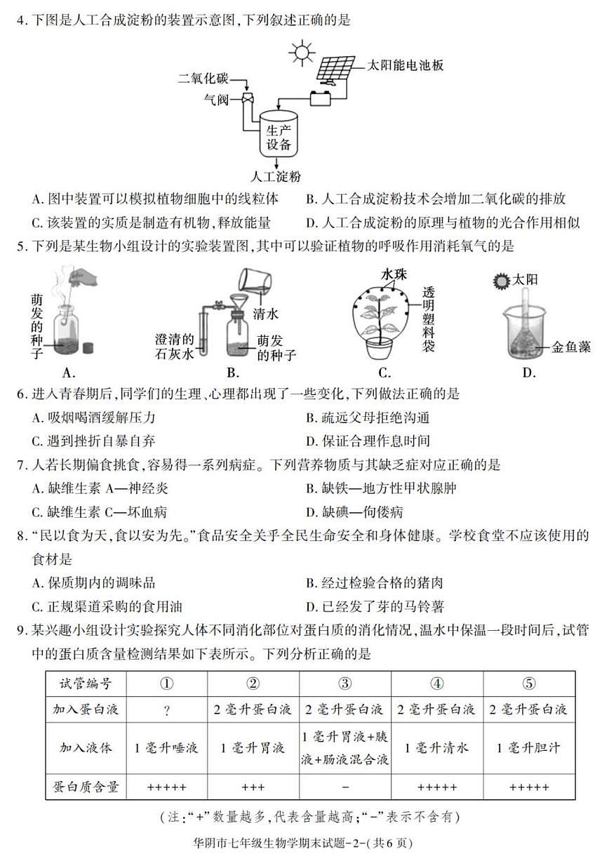 2024-2025学年陕西省渭南市华阴市七年级下学期期末考试生物试卷（有答案）第2页