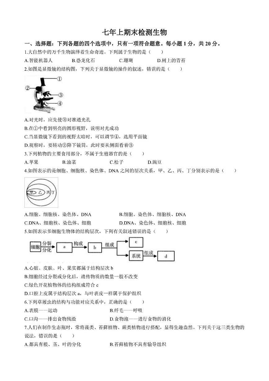 2025-2026学年吉林省长春市七年级上学期期末生物学试题（有答案）第1页
