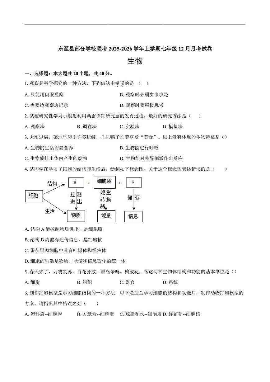 2025-2026学年安徽省池州市东至县部分校联考七年级上学期12月月考生物试题（有答案）第1页