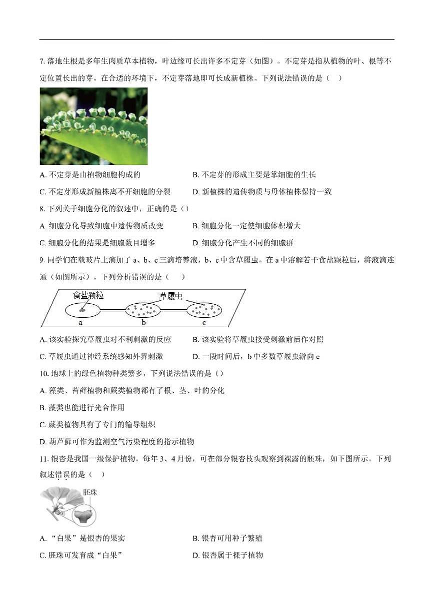2025-2026学年安徽省池州市东至县部分校联考七年级上学期12月月考生物试题（有答案）第2页