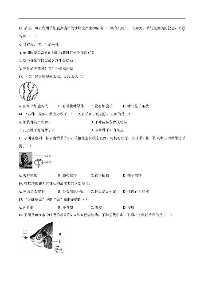 2025-2026学年安徽省池州市东至县部分校联考七年级上学期12月月考生物试题（有答案）第3页