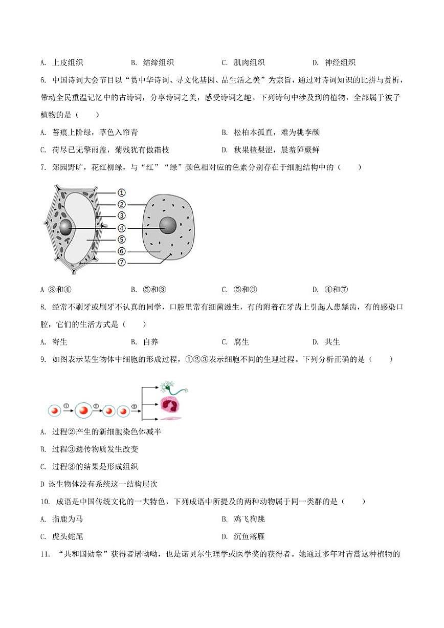 2025-2026学年河南省周口市部分学校七年级上学期12月月考生物试卷（有答案）第2页