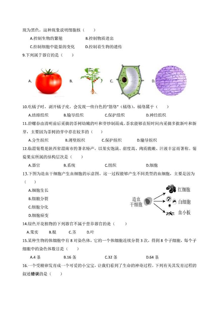 2025-2026学年江苏省徐州市睢宁县古邳初级中学七年级上学期12月月考生物试题（有答案）第2页