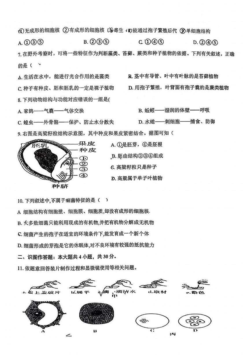 2025-2026学年湖北省襄阳市第四十二中学上学期12月考七年级生物试卷（有答案)第2页