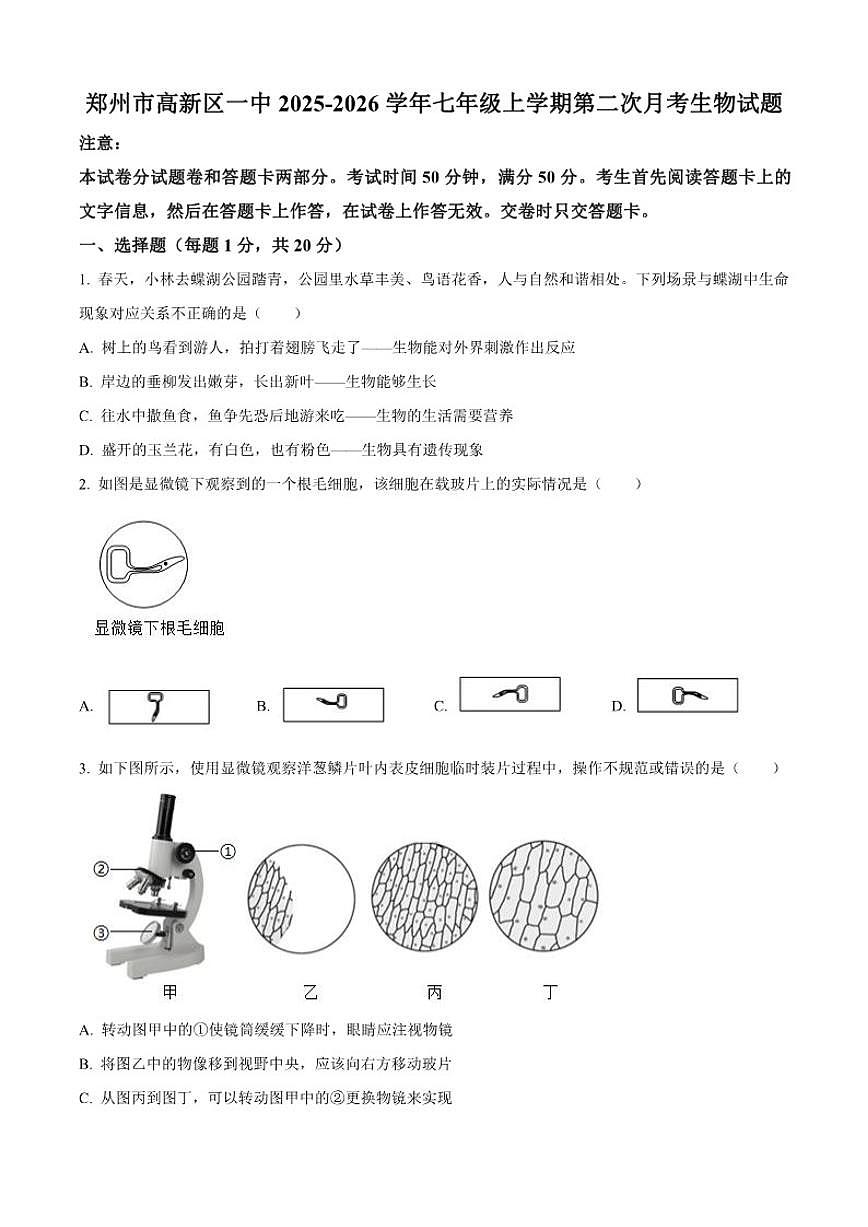2025-2026学年河南省郑州市高新区一中七年级上学期第二次月考生物试题（有答案）第1页