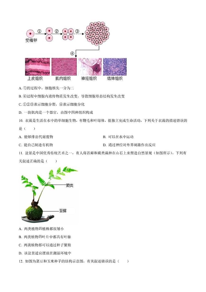 2025-2026学年河南省郑州市高新区一中七年级上学期第二次月考生物试题（有答案）第3页
