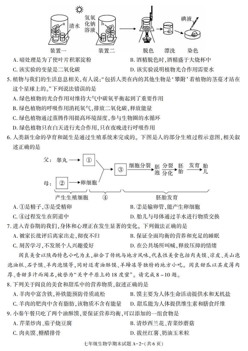 2024-2025学年陕西省西安市阎良区七年级下学期期末考试生物试卷（有答案）第2页