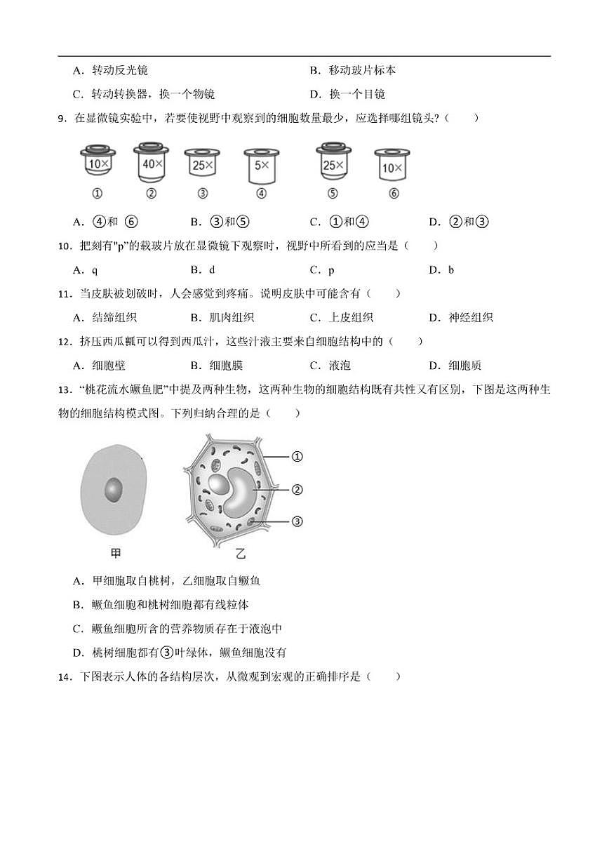 2025--2026年【苏教版】初中生物七年级上册期末质量评估卷二（有解析）第2页