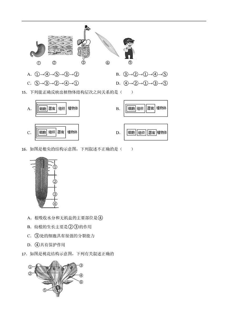2025--2026年【苏教版】初中生物七年级上册期末质量评估卷二（有解析）第3页