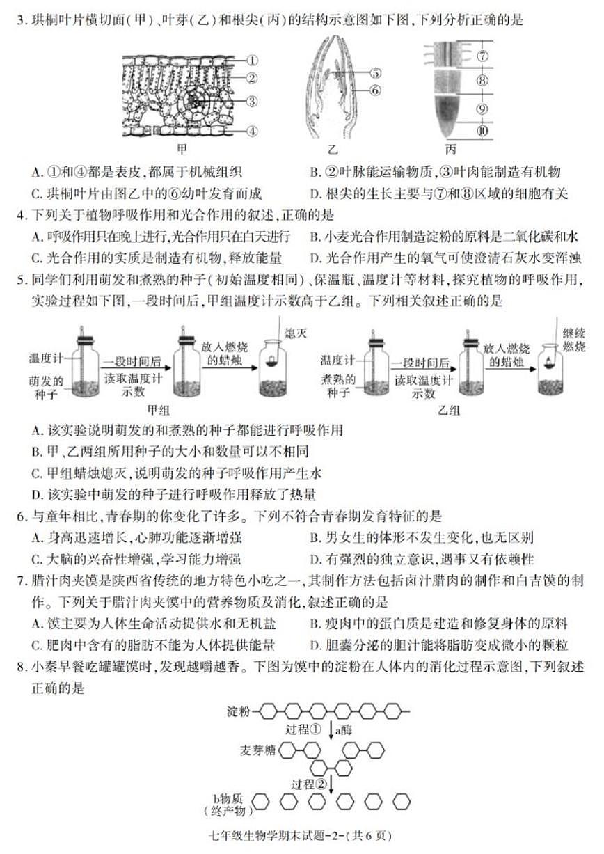 2024-2025学年陕西省西安市临潼区七年级下学期期末考试生物试卷（有答案）第2页