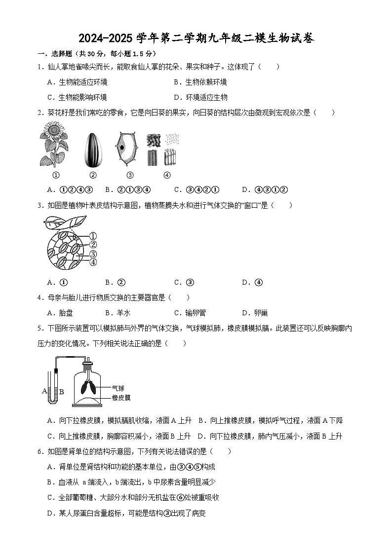 2025年甘肃省武威市凉州区东河、河东九年制学校中考二模生物试题-A4第1页