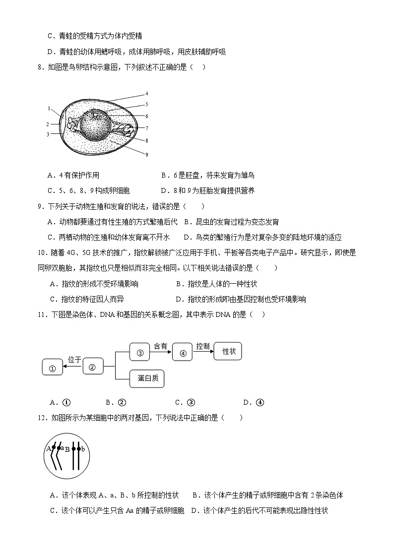 甘肃省武威三中教研联片2024-2025学年八年级下学期4月期中生物试题-A4第2页