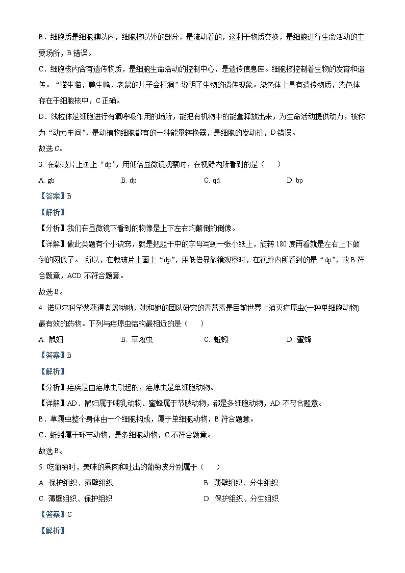 甘肃省兰州市多校联考2024--2025学年七年级上学期期末生物试题（解析版）-A4第2页