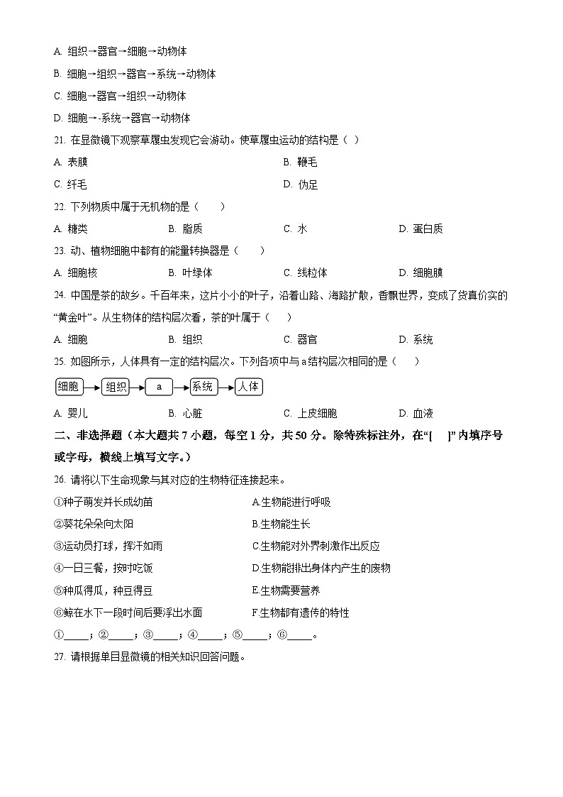 福建省福州市平潭县一中教研片七年级上学期期中生物学试题（原卷版）-A4第3页