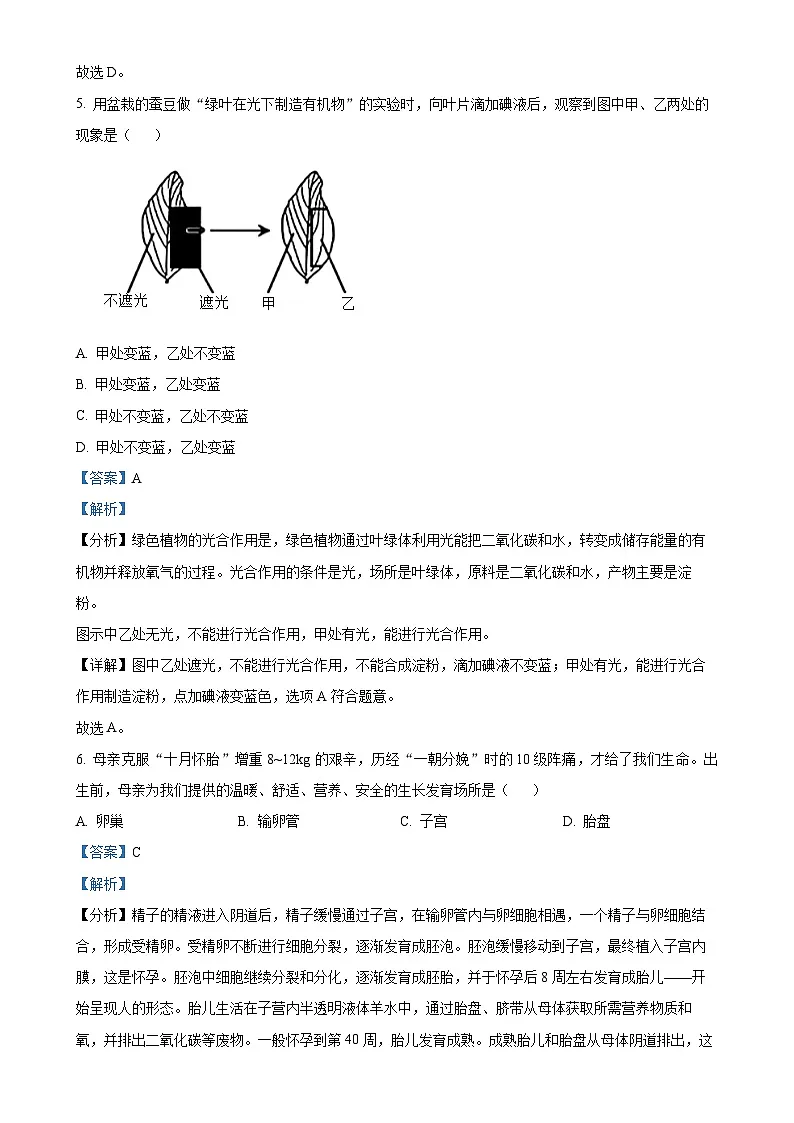 甘肃省陇南市武都区九年级下学期中考一模生物试题（解析版）-A4第3页