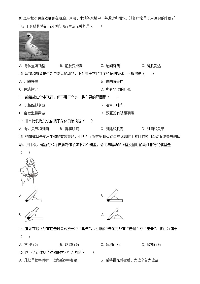 甘肃省陇南市武都区八年级上学期期中生物学试题（原卷版）-A4第2页