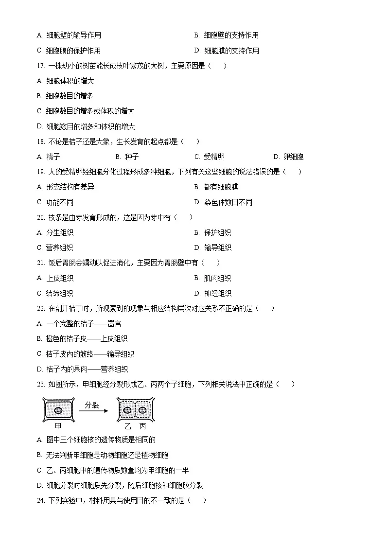 福建省泉州市南安市七年级上学期期中生物试题（原卷版）-A4第3页