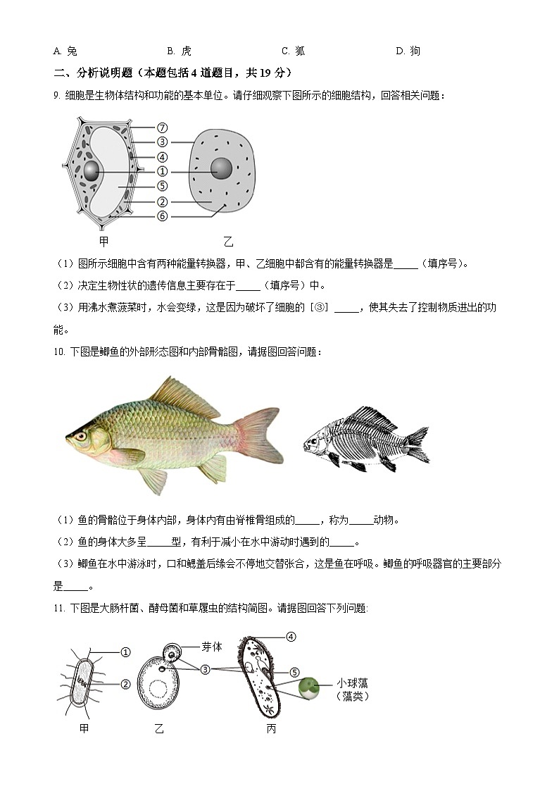 甘肃省平凉市崆峒区七年级上学期期末生物试题（原卷版）-A4第2页