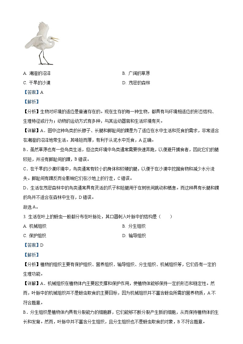 2025年甘肃省陇南市九年级下学期中考一模生物试题（解析版）-A4第2页