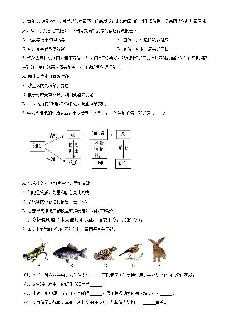 甘肃省平凉市庄浪县七年级上学期期末生物试题（原卷版）-A4第2页