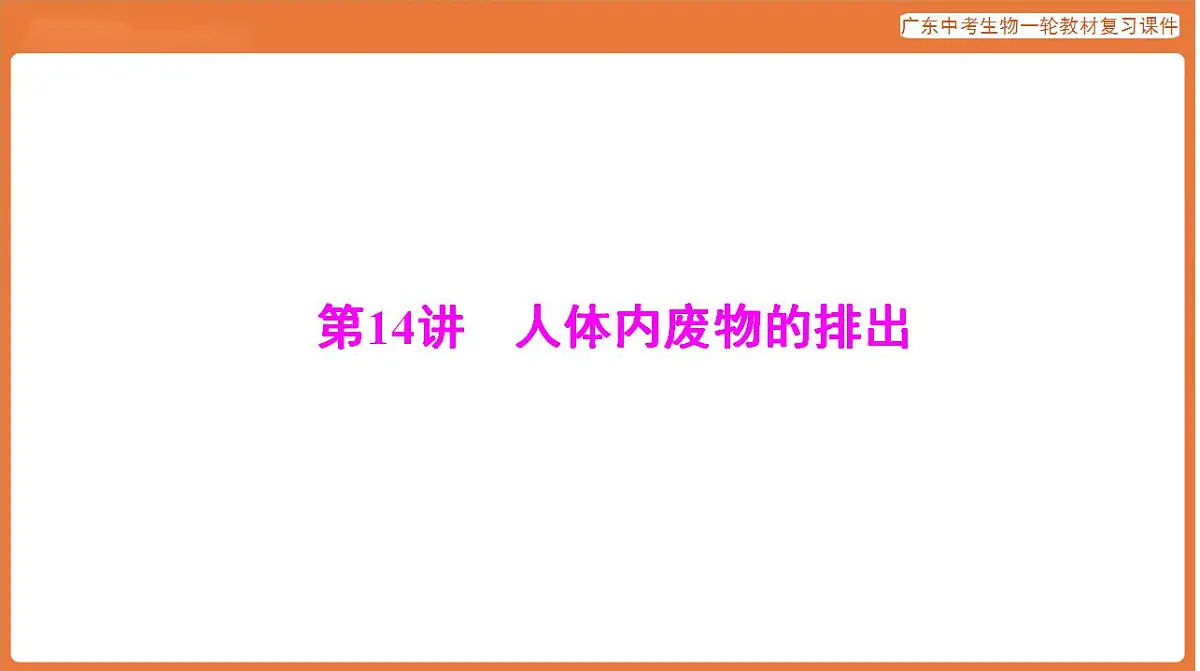 17824208第1页