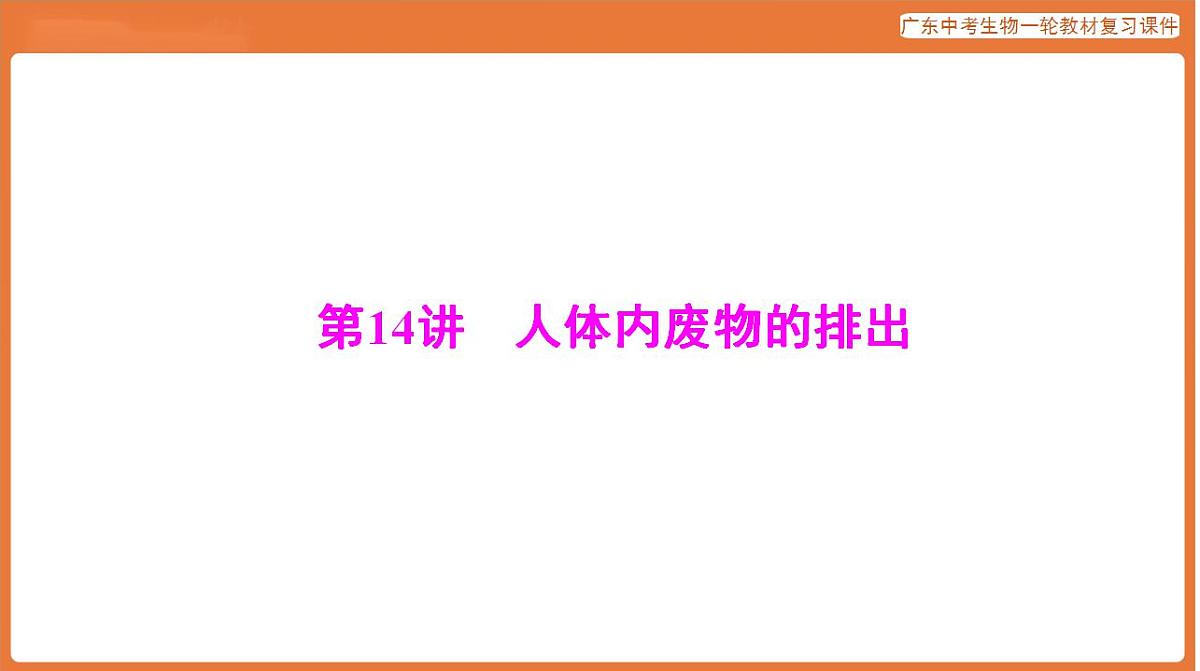 17824208第1页