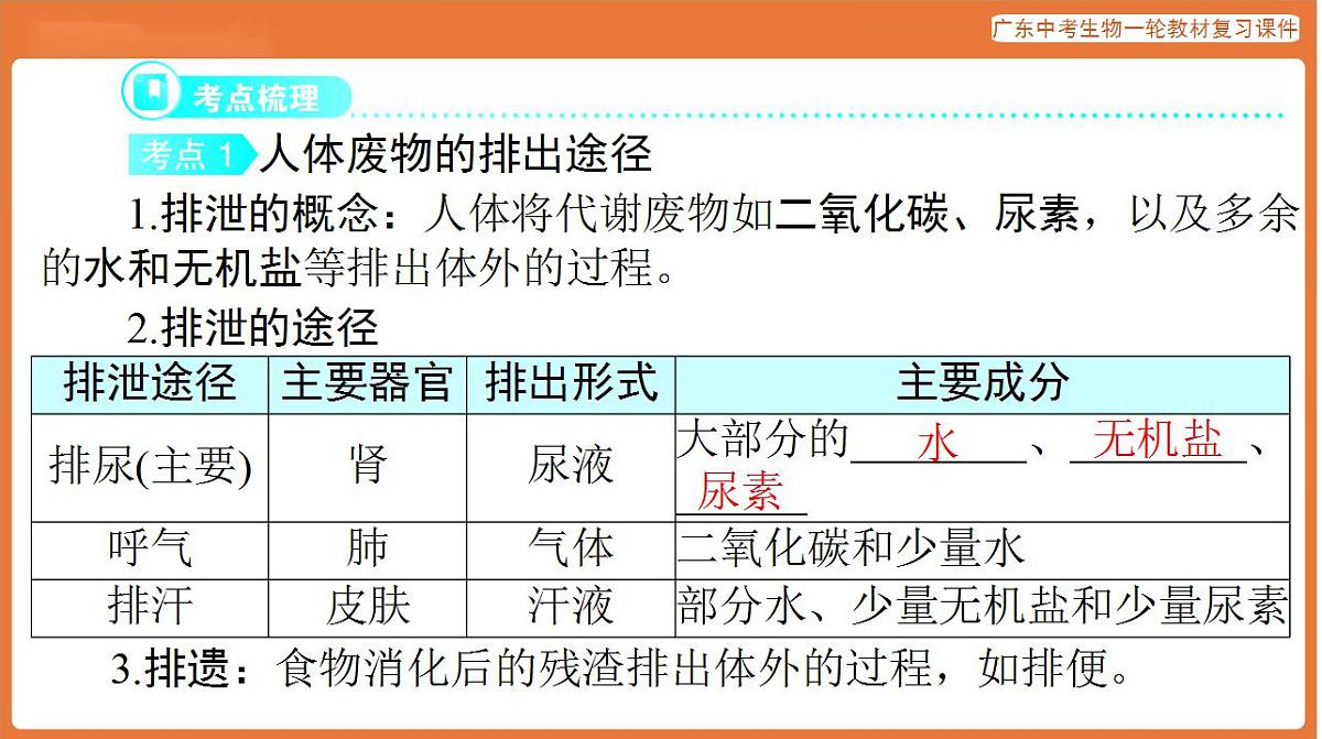 17824208第3页