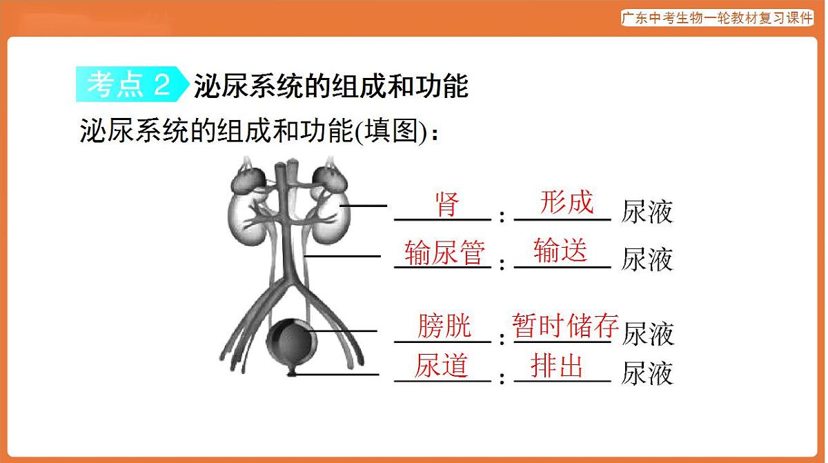 17824208第5页