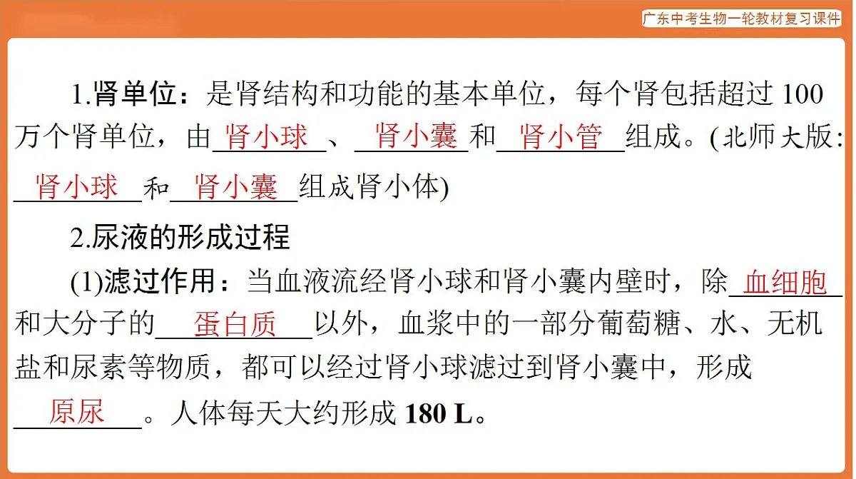 17824208第7页