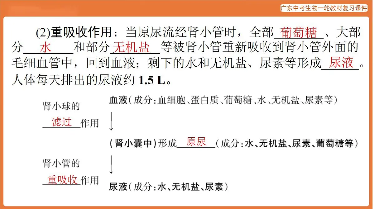 17824208第8页